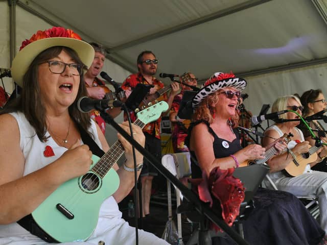 St Botolph's Festival on the Green, performing the Palmy Ukulele Band