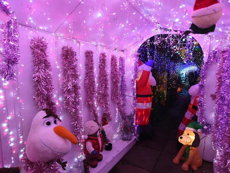 Dave Wooldridge's wonderful display will raise money for Sue Ryder Thorpe Hall Hospice.