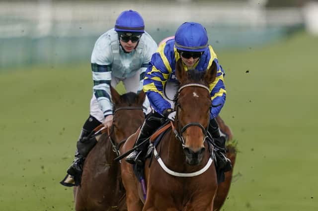 Racing at Nottingham. (Photo by Alan Crowhurst/Getty Images)