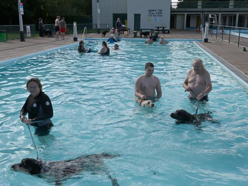 Dog swimming session at Peterborough Lido