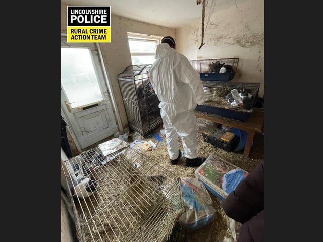 55 animals were found inside the house.