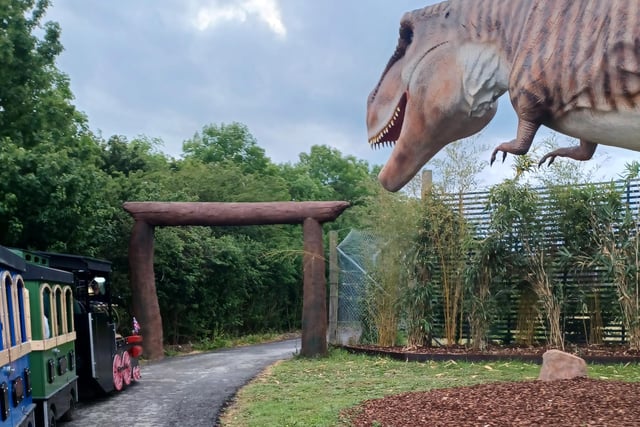 The T-Rex is likely to prove popular with visitors
