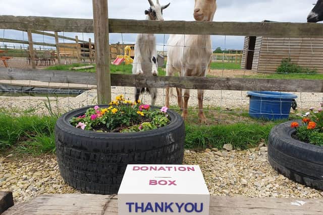 The Tiny Steps Petting Farm at Bourne, will close at the end of the month.