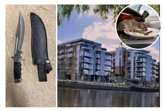 Residents have complained about rats and anti-social behaviour at Fletton Quays - with even a large knife found on a pathway