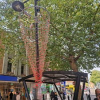 It's Beginning to Look a lot like Christmas: Decorations appear in Peterborough city centre