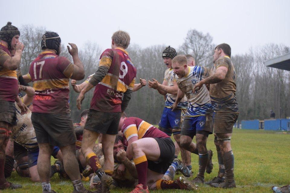 Peternorough Rufc Peterborough Lions tamed Towcester and an impressive bounce back from ...