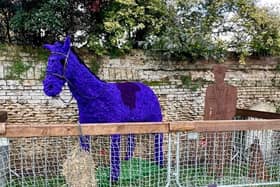 A life-size metal horse created by the students of Peterborough Technical College and covered with purple poppies
