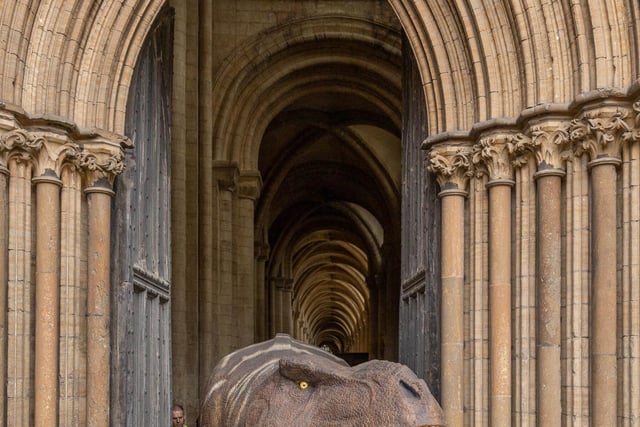 The dinosaur models were bought into the cathedral last week