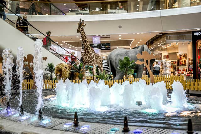 Find Summer Safari in Queensgate until September 1