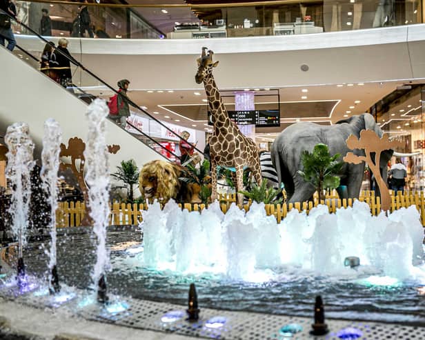 Find Summer Safari in Queensgate until September 1