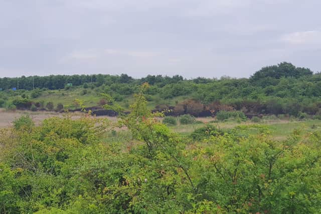 Dogsthorpe Star Pit.