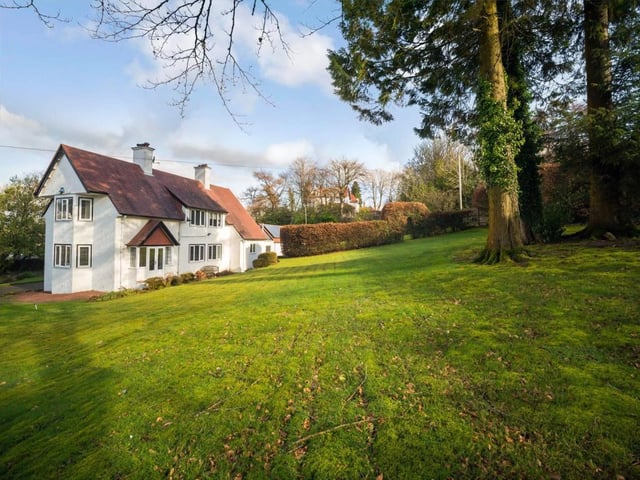 Garden.