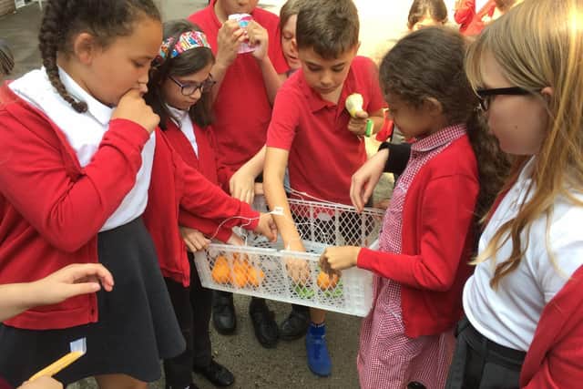 Pupils learning about healthy eating.