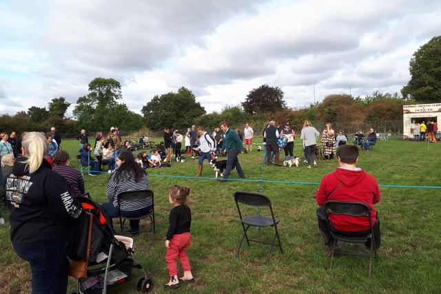 The well attended Dog Show