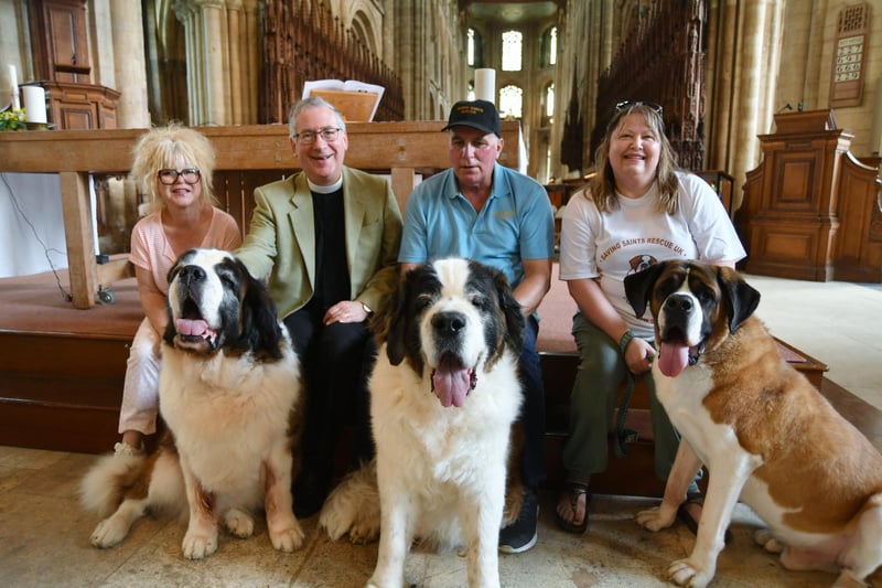 (Left to right) Tracey Turnbull, Vice Dean of Peterborough Cathedral Canon Tim Alban Jones, David Stevens and Rachel Wesley, along with Saving Saints' own St Bernards, Winnie, Teddy and Basil.