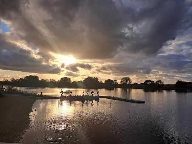 Check out those lovely silhouettes of Ferry Meadows' swans in this shot taken by Emma Jane-Scott.