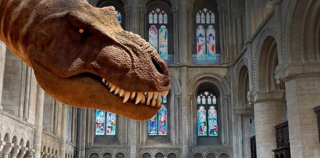 Win tickets to see the Natural History Museum touring exhibition