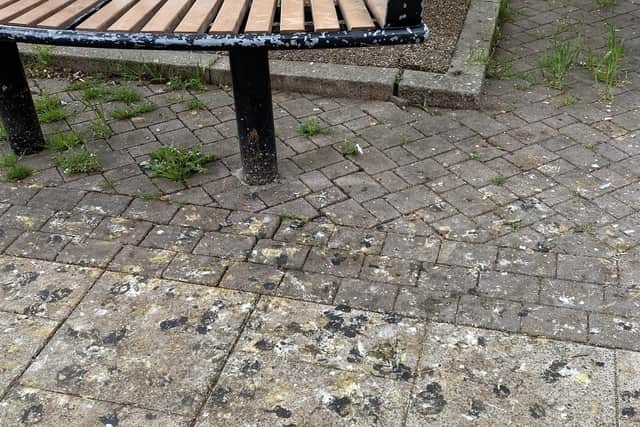 Pigeon poo has been highlighted as a problem in Peterborough city centre