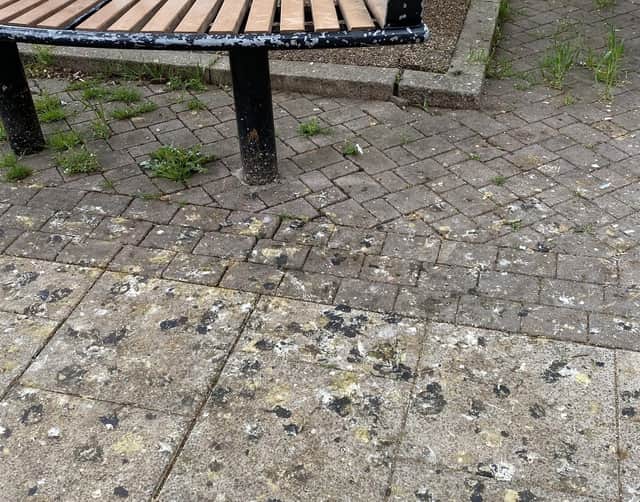 Pigeon poo has been highlighted as a problem in Peterborough city centre