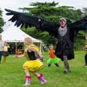 Falconry Dismay, the family fun in Cathedral Square on Saturday