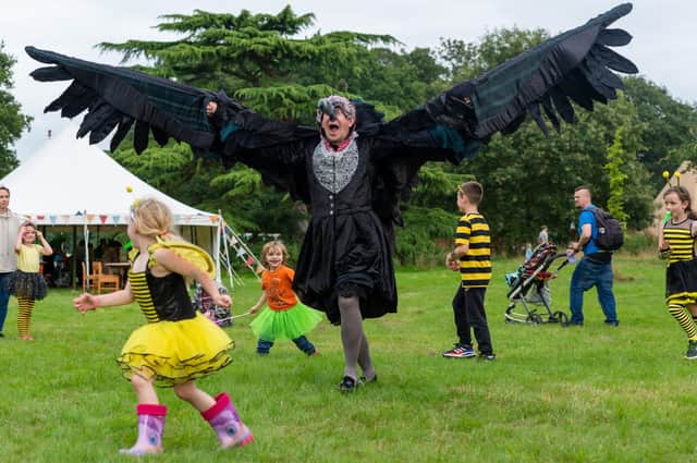 Falconry Dismay, the family fun in Cathedral Square on Saturday