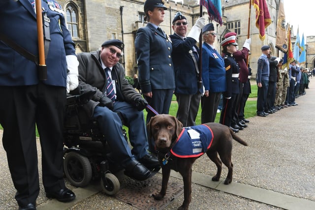 Copper the assistance dog attending the service.