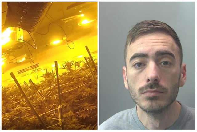 Orland Hysenleka was jailed after police found a cannabis factory.