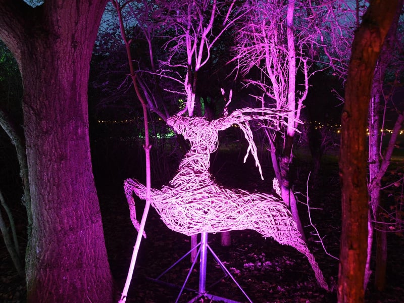 Nene Park Trust Winter Festival