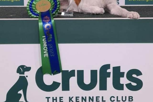The award was “extra-special” for Jaffa as he was making Crufts history by being the first ever Kromfohrländer breed to compete in the prestigious dog show.