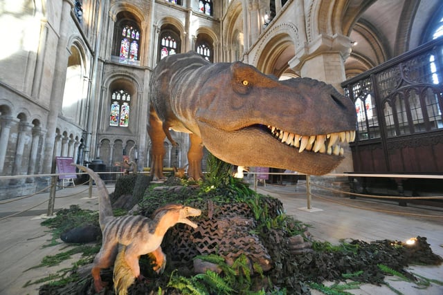 The exhibition asks- was T-Rex a ruthless predator or a scavenger?