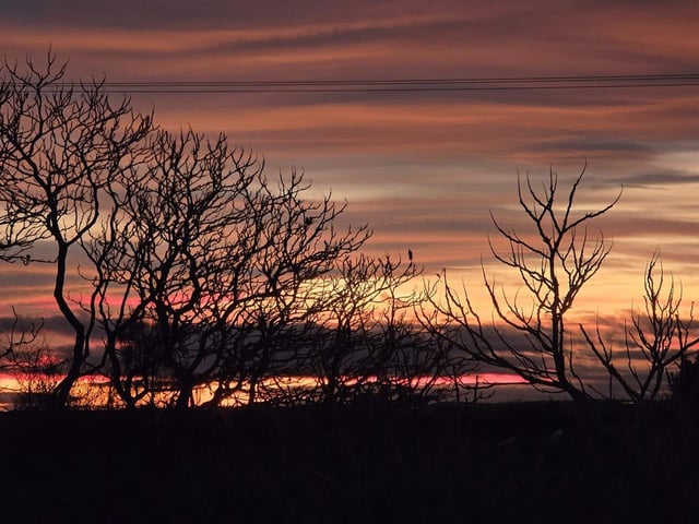 Whittlesey. Photo: Natalija Krauze-Moore.