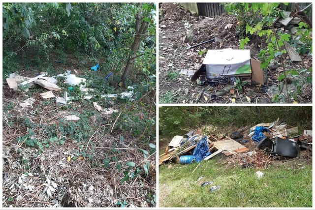 Some of the fly-tipping left on the path