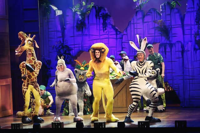 Francisco as Marty in Madagascar The Musical