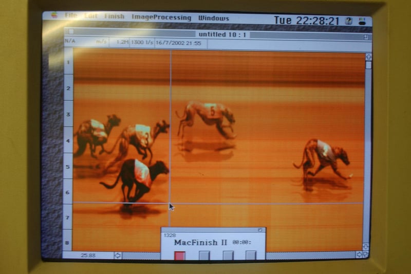 A remarkable dead heat for third place between Bangor Peer and Santa Donato in 2008.