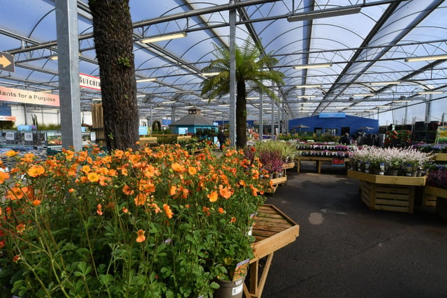 Floral attractions at the Waterside Garden Centre, Baston