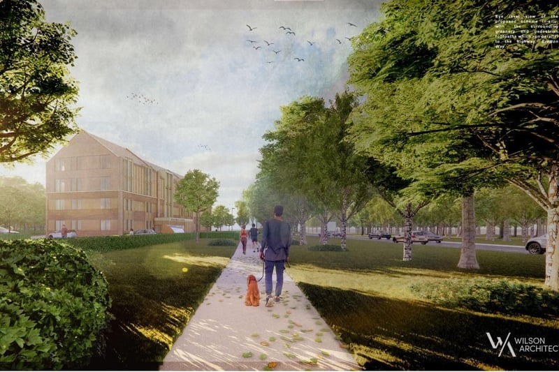 The proposed landscaping around the site.