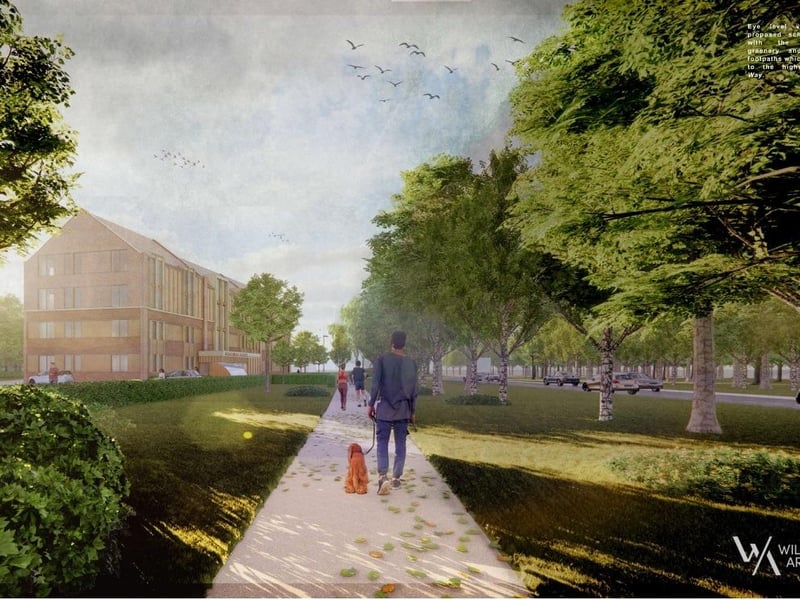 The proposed landscaping around the site.