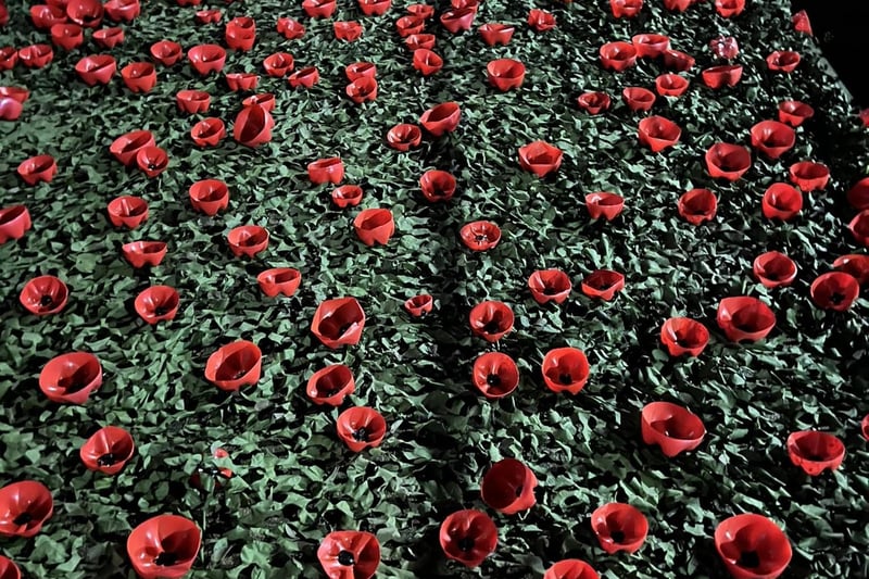 The display contains hundreds of hand made poppies