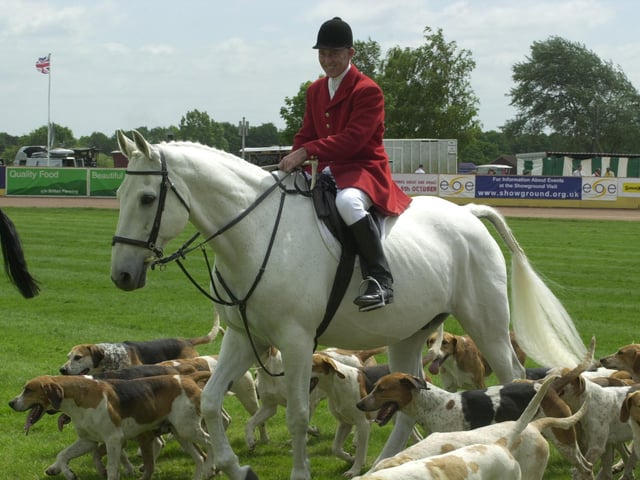 Members of the Fitzwilliam Hunt with hounds in the showground.