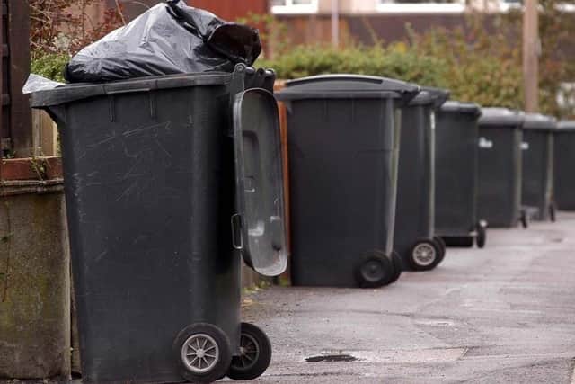 Peterborough could see smaller black bins trialled
