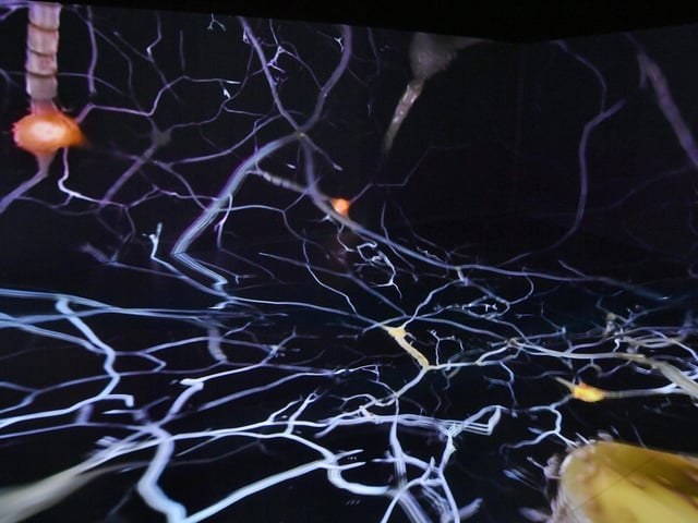 Opening of a Virtual Reality Studio at ARU Peterborough