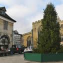 The Christmas Tree in Cathedral Square