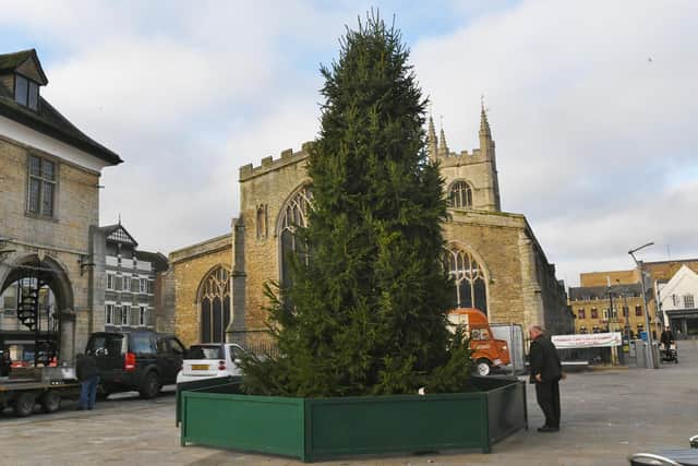 The Christmas Tree in Cathedral Square