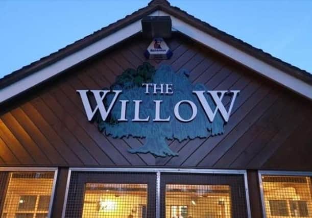 The Willow, in Central Park