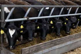 Packaged Feeds Limited has entered liquidation (stock image)