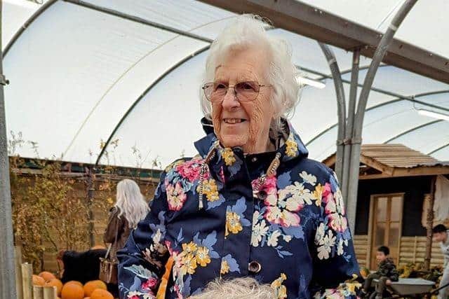 Nen picking her pumpkins