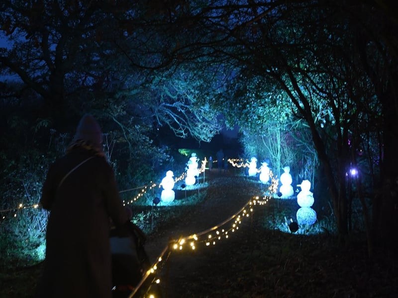 Nene Park Trust Winter Festival
