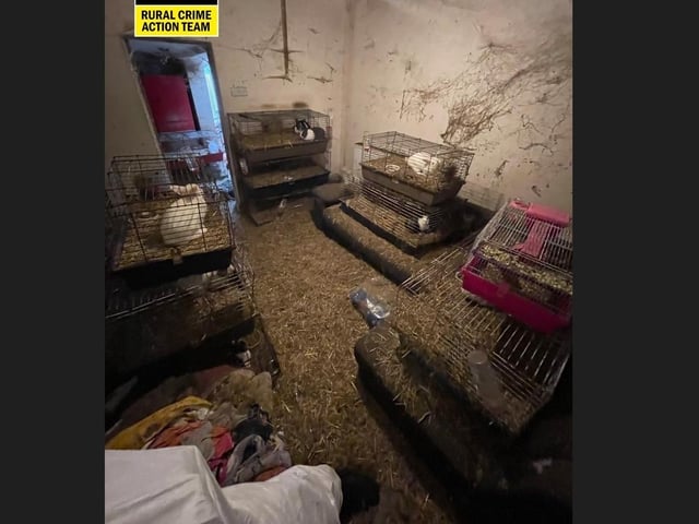 55 animals were found inside the house.