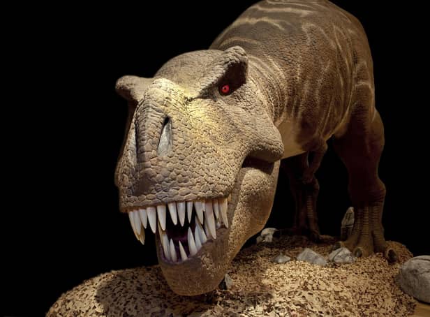 Coming to Peterborough Cathedral - T-Rex ©Natural History Museum