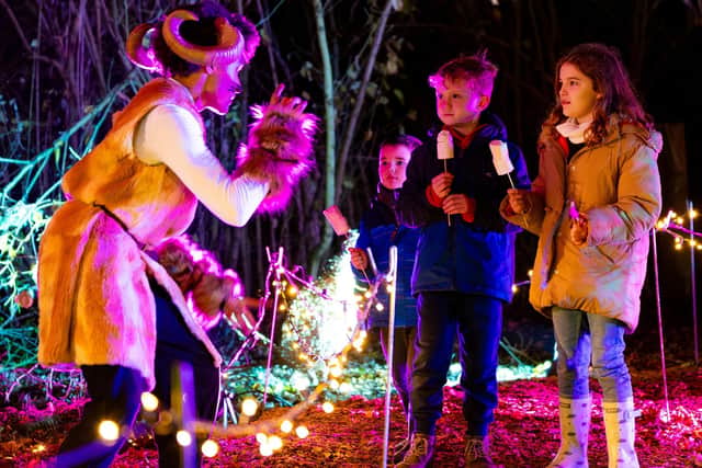 Winter Festival at Ferry Meadows.